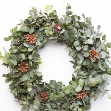 Corona eucalipto fresco